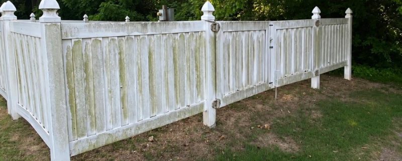 Fence Cleaning in Beverly